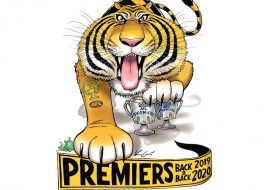 Richmond Tigers 2020 Premiers Grand Final DVD