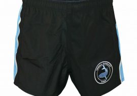 Cronulla Sharks Adult Hertiage Footy Shorts