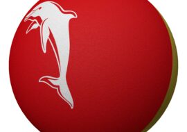 Dolphins High Bounce Ball