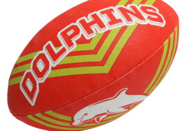 Dolphins Steeden Football Large Size