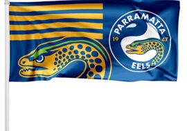 Parramatta Eels Pole Flag